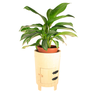 Dřevěný květináč